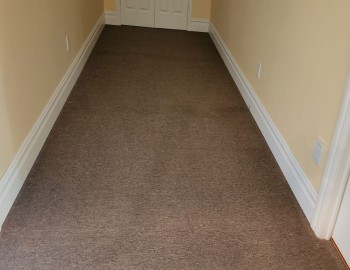 Eliminación de polillas del armario